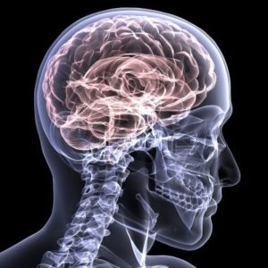 New Jersey Child Traumatic Brain Injury Lawyers